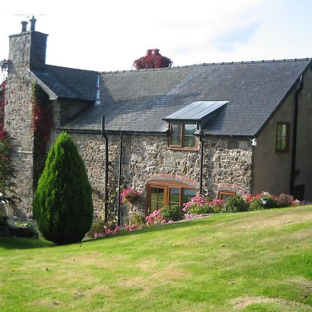 Tan Y Graig Meifod Exterior foto