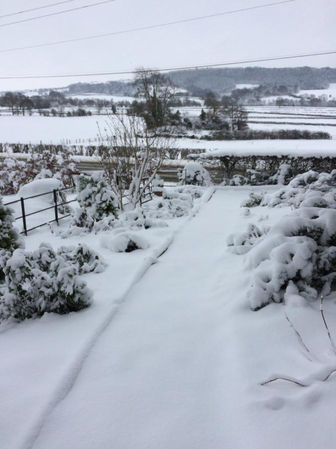 Tan Y Graig Meifod Exterior foto