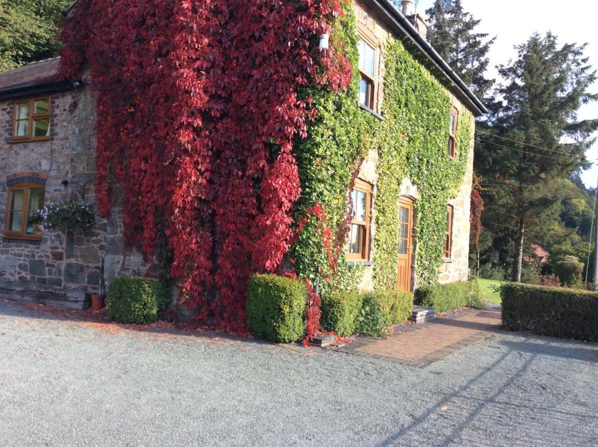 Tan Y Graig Meifod Exterior foto